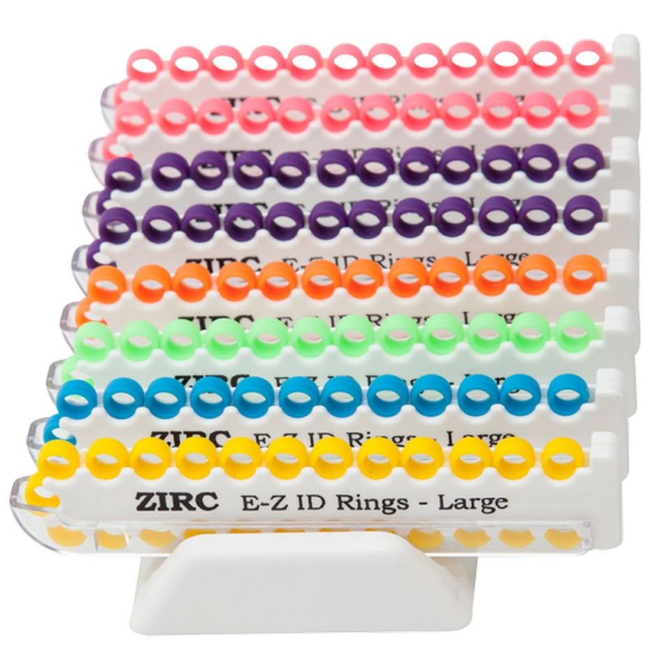 Zirc EZ ID Ring System Neon